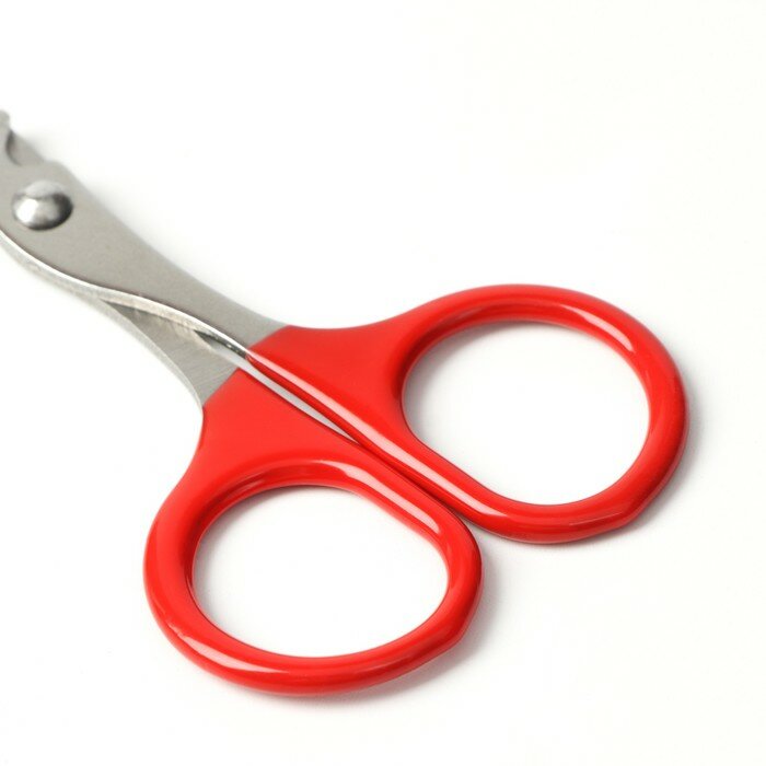 Ножницы-когтерезы с прорезиненными ручками, отверстие 6 мм, красные - фотография № 4