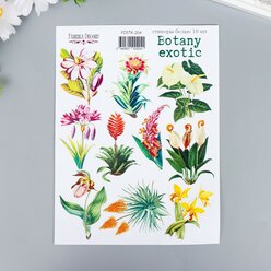 Fabrika Decoru Набор стикеров "Botany exotic" 10 шт