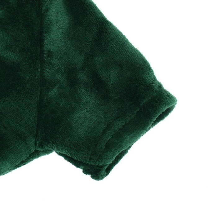 Комбинезон "Дракоша" с капюшоном, размер S (ДС 25 см, ОГ 35 см, ОШ 25 см), зелёный - фотография № 10