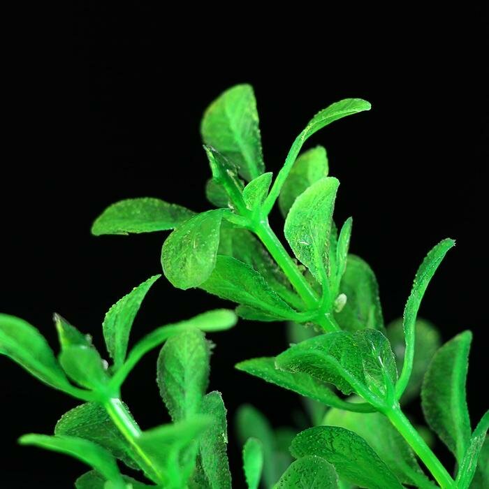 Пижон Аква Растение искусственное с распылителем, 14 х 14 х 20 см - фотография № 4