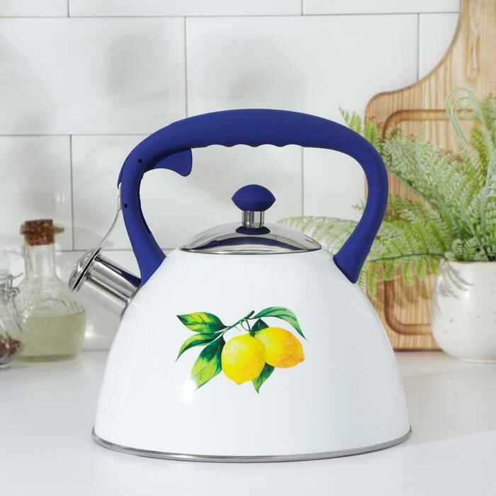 фото Чайник со свистком из нержавеющей стали Доляна «Лимоны», 3 л