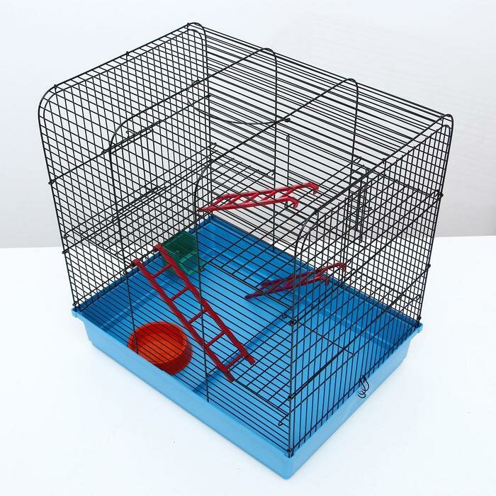 Клетка для грызунов "Сеня 3-1", 49 x 36 x 51 см, микс цветов - фотография № 3