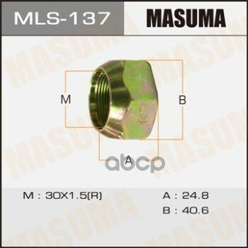    Masuma . MLS137