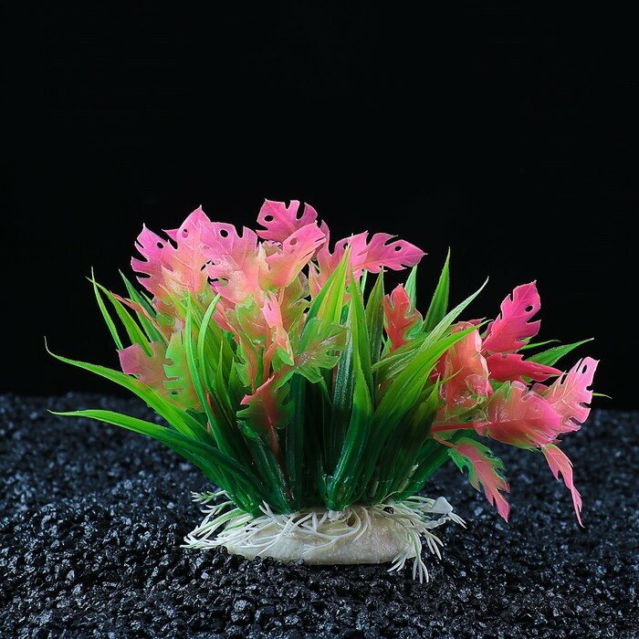 Растение искусственное аквариумное, 22 х 14 х 12 см - фотография № 1
