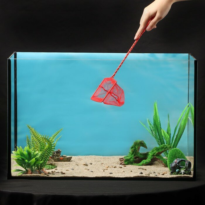 Сачок аквариумный 10 см, красный - фотография № 1
