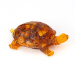 Янтарная черепаха - символ богатства и благополучия в доме - изображение
