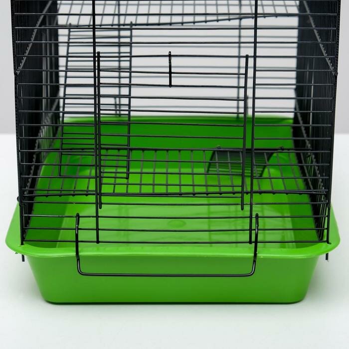 Пижон Клетка для грызунов "Пижон" №9, с 3-я этажами, без наполнения, 33 х 24 х 38 см, зеленый микс - фотография № 6