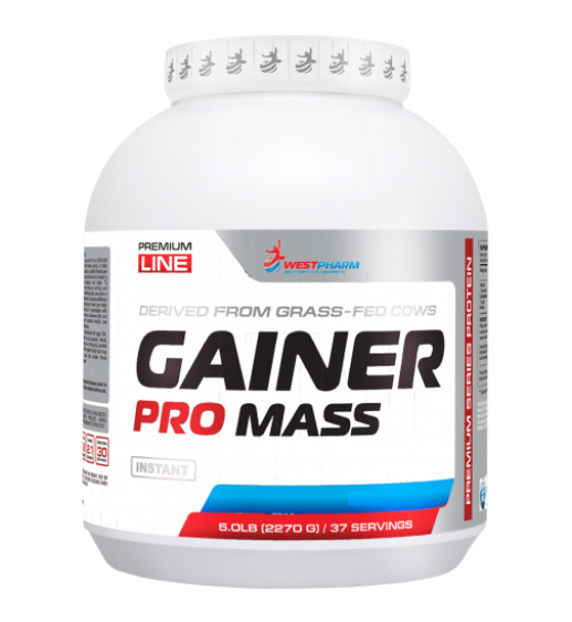 WESTPHARM Gainer Pro Mass (2270)  