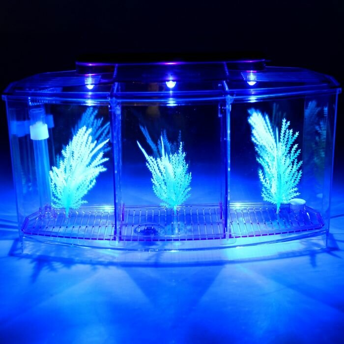 Veny's Аквариумный набор трехсекционный, с подсветкой LED, 2,55 л, фиолетовый - фотография № 3