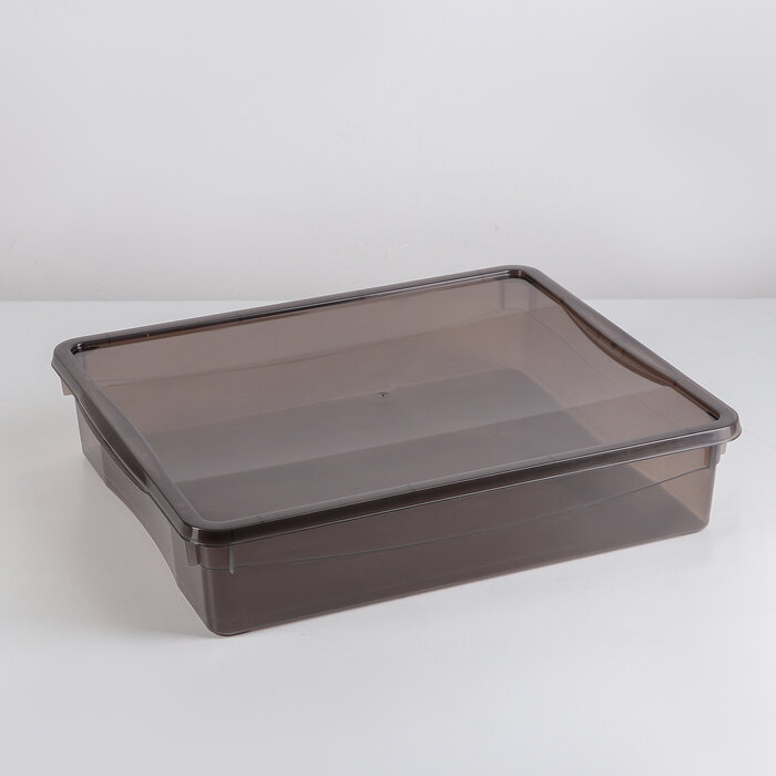 econova Ящик для хранения с крышкой «Колор. Стайл», 9 л, 40×34×8,5 см, цвет микс - фотография № 6