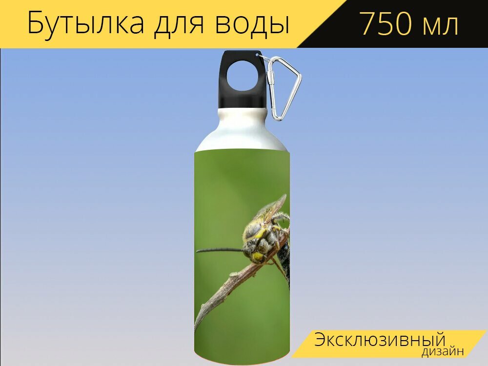 Бутылка фляга для воды "Оса, шершень, насекомое" 750 мл. с карабином и принтом