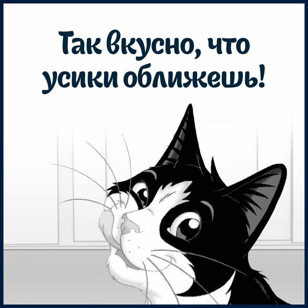 Влажный корм, "Felix Sensations", для взрослых кошек, лосось в желе со вкусом трески, 75г 6 шт - фотография № 6