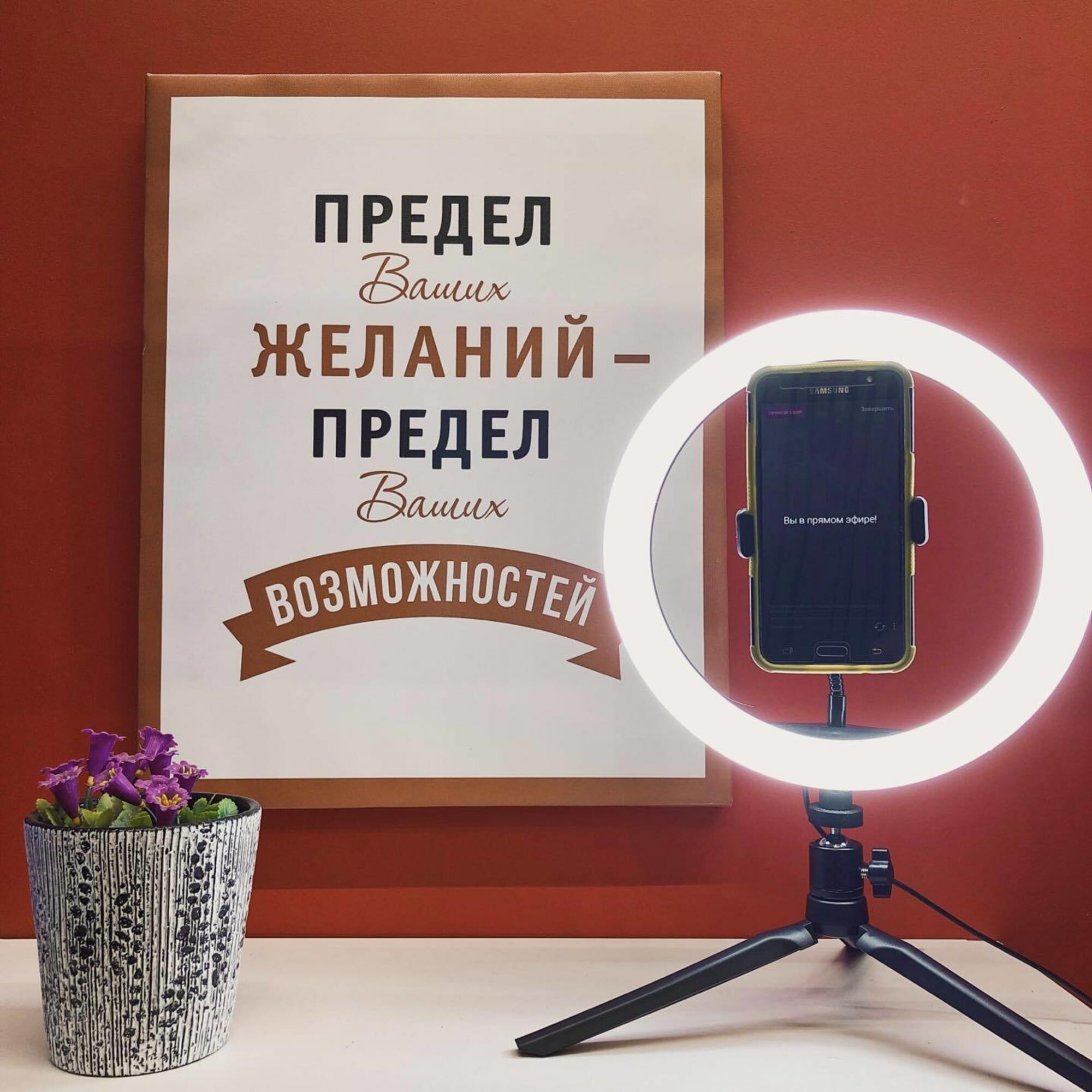 Светильник кольцевой светодиодный Gauss Ring Light Ø30 см с пультом управления