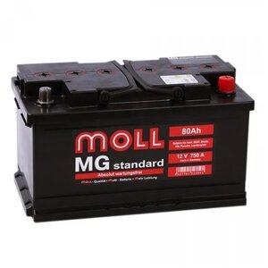  Moll MG Standard 80  750 