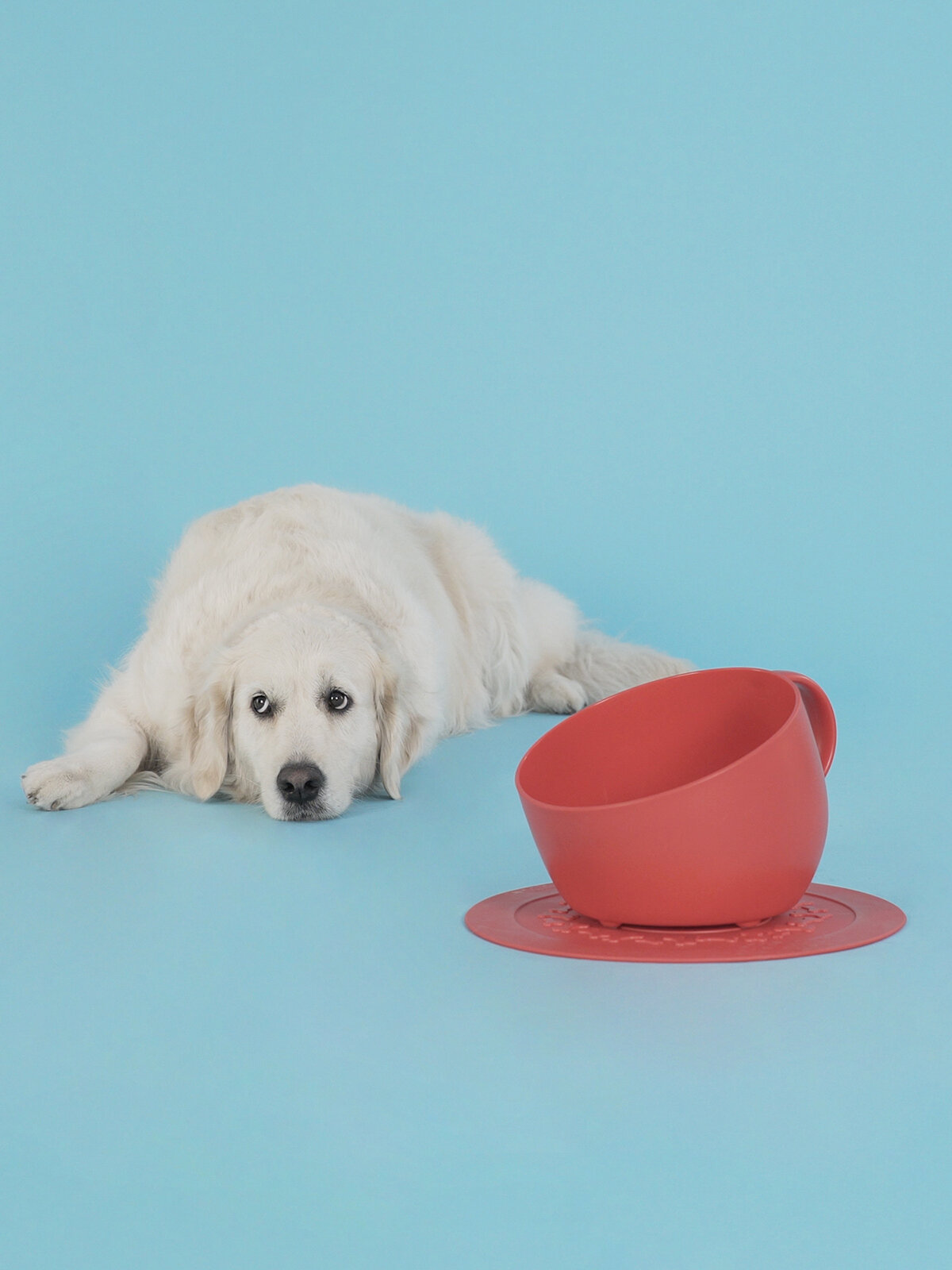 Миска-чашка для собак United Pets 2,5 л Kit CUP + коврик 35 см, красные - фотография № 10