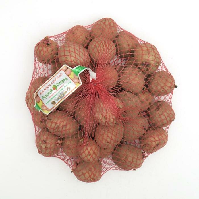 Семенной картофель "Колобок " 2 кг Элита, р/р 28/55 - фотография № 1
