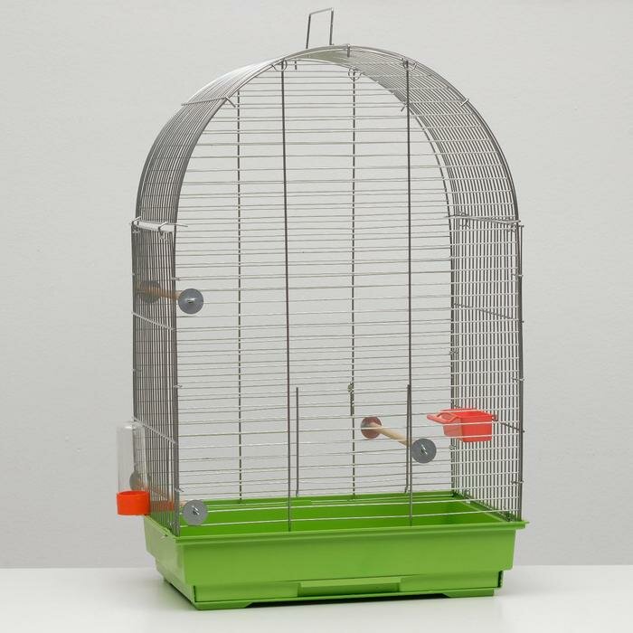 Клетка для птиц "Пижон" №101, цвет хром , укомплектованная, 41 х 30 х 65 см, зеленый микс - фотография № 11