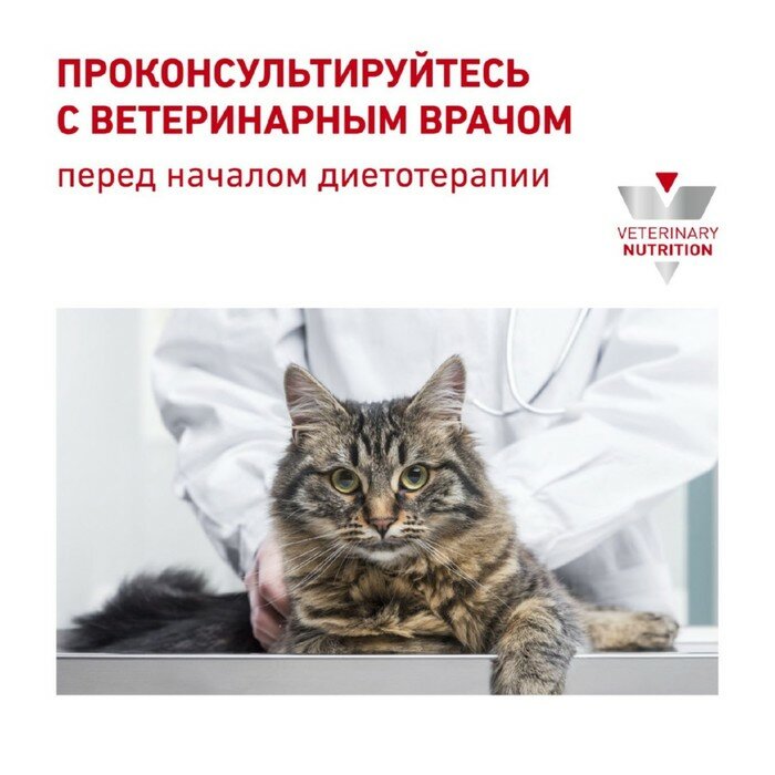 Royal Canin Сухой корм RC Renal для кошек, 4 кг - фотография № 7