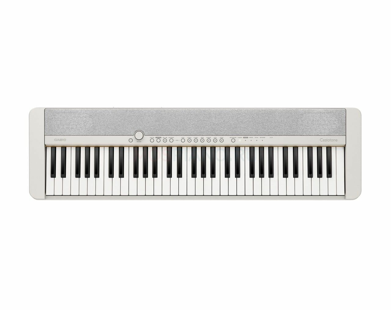 Casio Casiotone CT-S1WE  