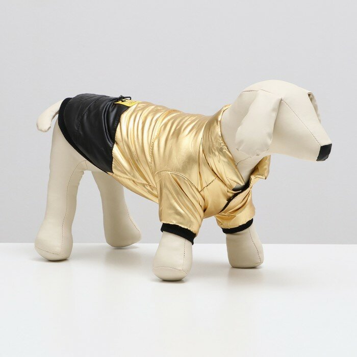 Куртка для собак "Космонавт", размер 14, чёрно-золотая (ДС 38, ОШ 32, ОГ 46 см) - фотография № 1