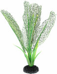 Растение для аквариума шелковое Апоногетон мадагаскарский зеленый BARBUS Plant 039 (50 см) - изображение