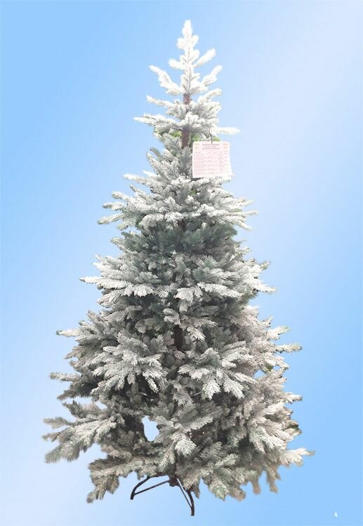 Искусственная елка Датская Голубая заиндевелая 185 см, литая 100%, царь елка, EverChristmas ДНТФ-185