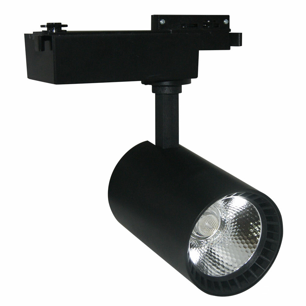   Arte Lamp Vinsant A2664PL-1BK, , LED