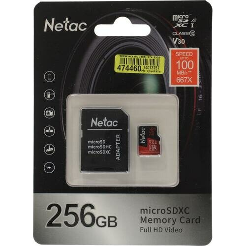 SD карта Netac Pro NT02P500PRO-256G-R