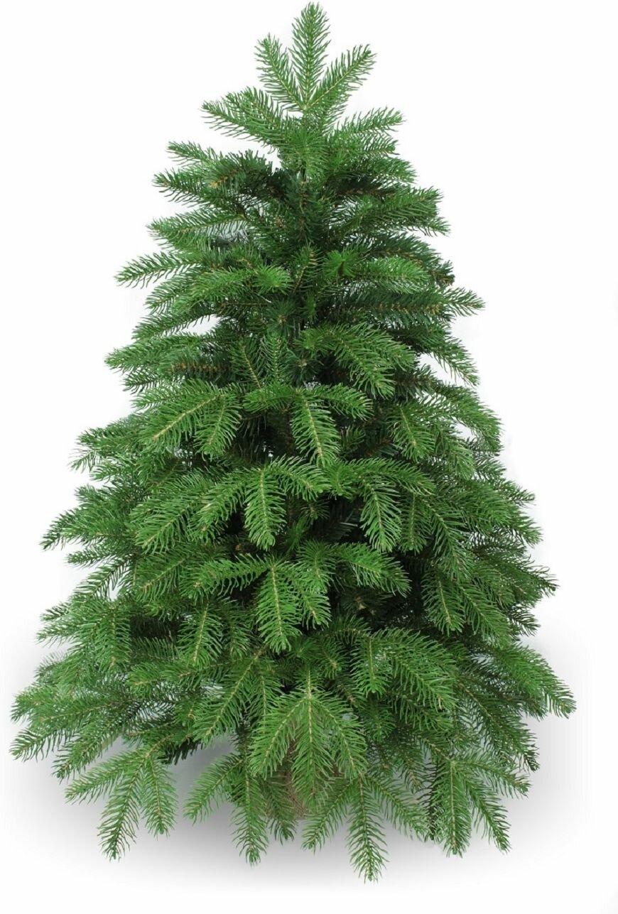 Ель искусственная Beatrees 1031915 150 см зеленая Hoff - фото №1