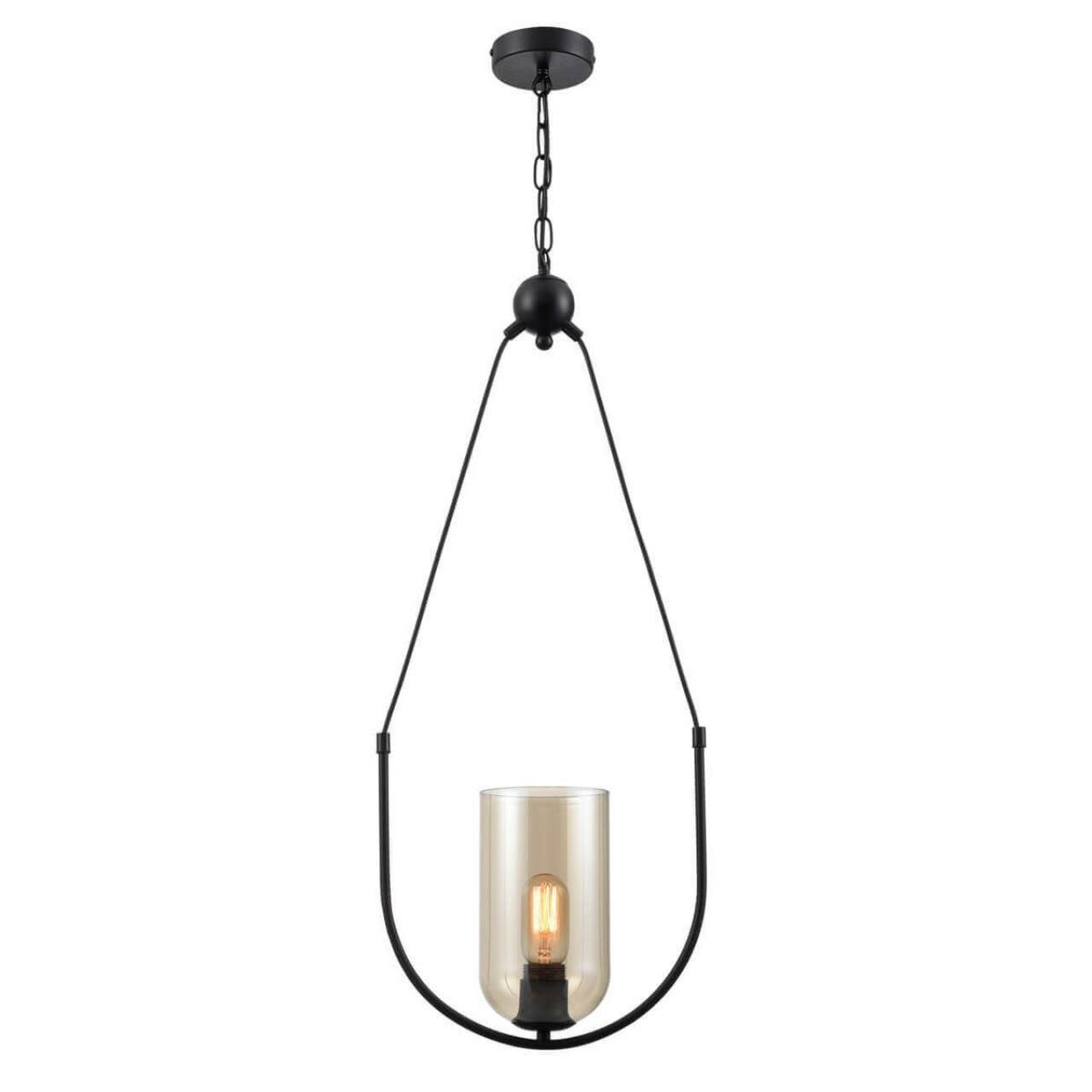 Светильник подвесной Vele Luce Fiamma, VL5812P01, 60W, E27, Стиль Модерн