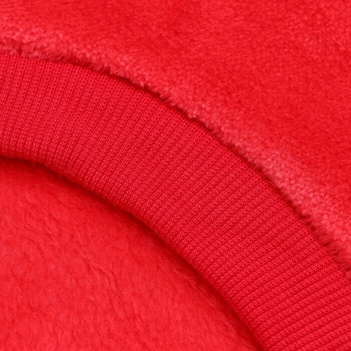 Толстовка "Ромашка", велсофт, размер 2XL, красная (ДС 44, ОШ 34, ОГ 48 см) - фотография № 9