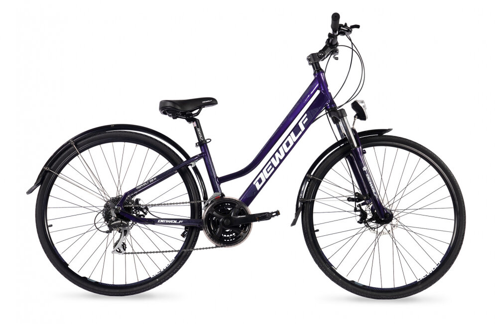 Велосипед DEWOLF ASPHALT 20 W (2022) chameleon purple/white/grey 16