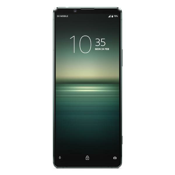 Sony Xperia 1 III 12/256Gb Frosted Green (Зеленый) (Global)