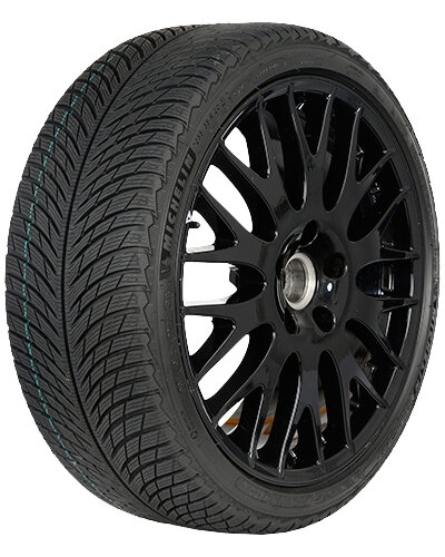 Шина Michelin Pilot Alpin 5 295/35 R20 105W