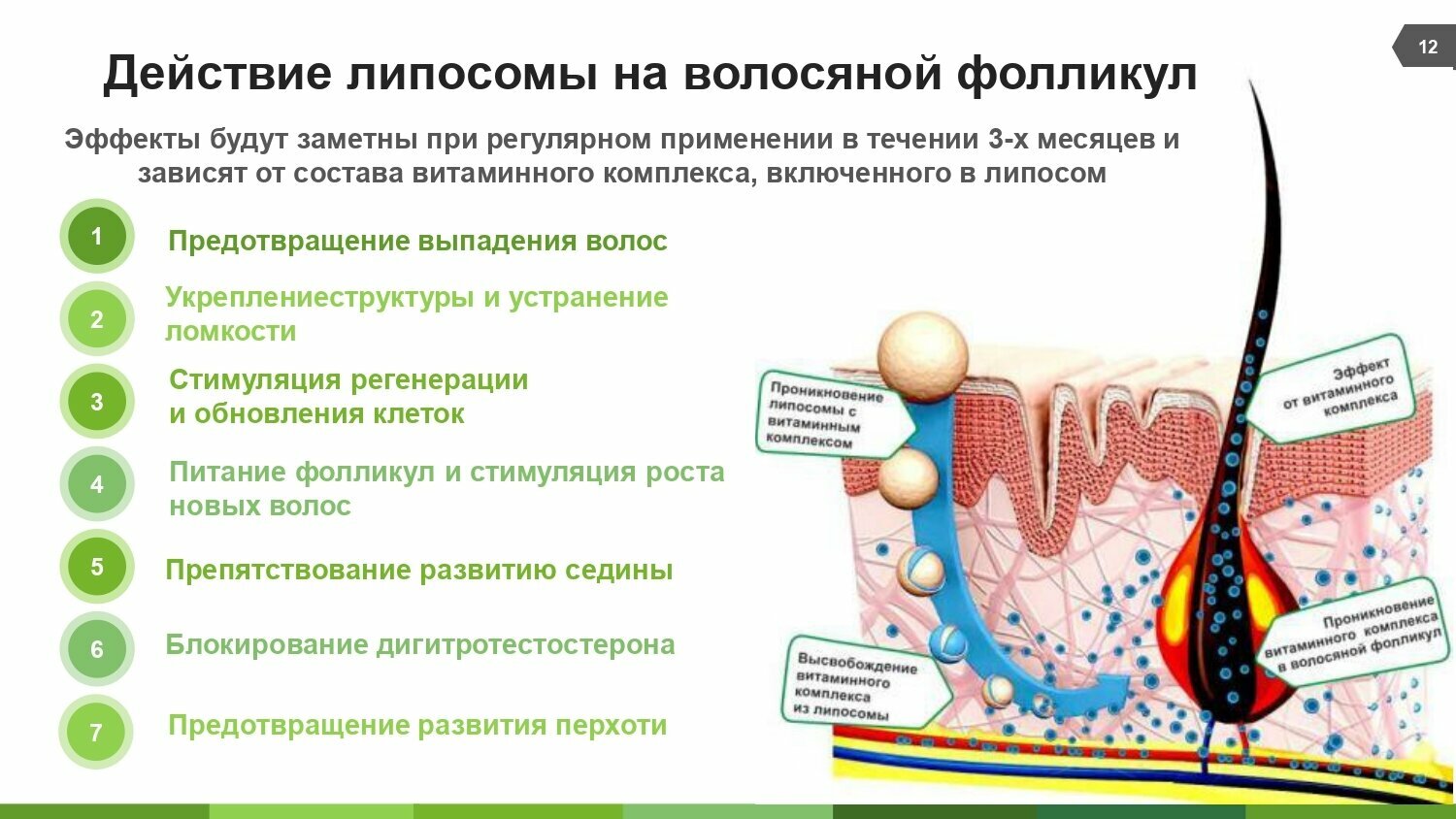 Ринфолтил липосомальная сыворотка против выпадения волос/препятствует развитию ранней седины 160мг 30шт АО Вектор-Медика - фото №9