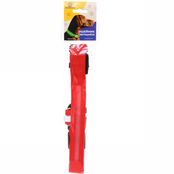 Ошейник для собак «Люмисцент» 2,5*50см светящийся, цвет красный Ультрамарин - фотография № 8