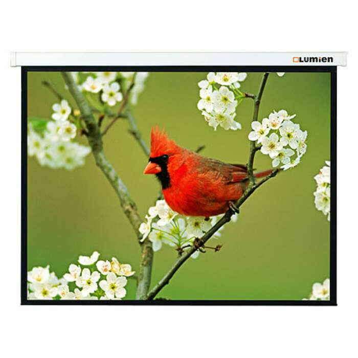 [LMP-100116] Настенный экран Lumien Master Picture 189х240 см (раб.область 130х232 см) Matte White FiberGlass