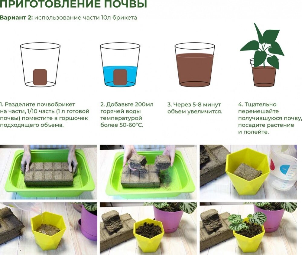 БиоМастер Почвобрикет Бегония круглый БиоМастер, 4 шт по 2,5 л - фотография № 4