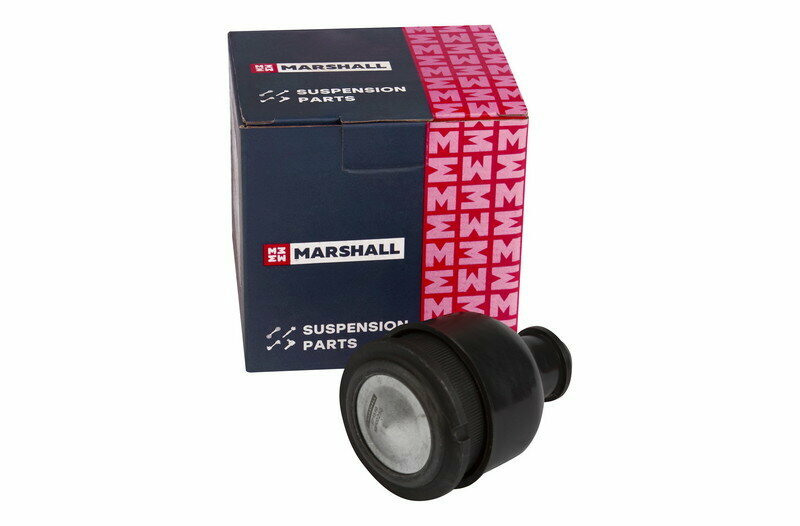 MARSHALL M8100250