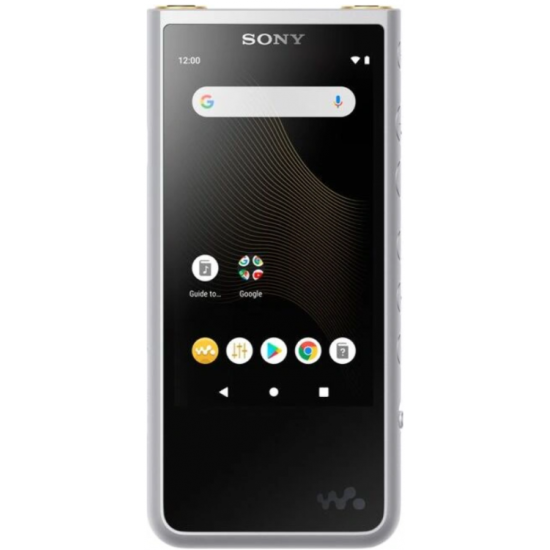 Плеер SONY NW-ZX507S, серебристый