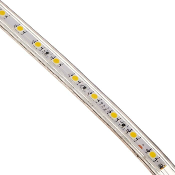 Ecola Светодиодная лента Ecola 14 × 7 мм, 100 м, IP68, SMD5050, 60 LED/м, 14.4 Вт/м, 220 В, 4200К - фотография № 3