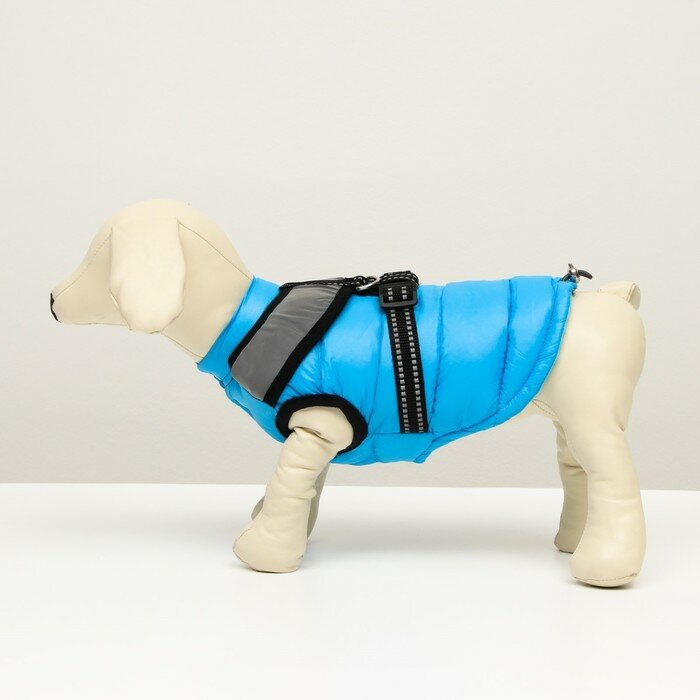 Куртка для собак со светоотражающей шлейкой, размер 8 (ДС 23, ОГ 30, ОШ 22), голубая - фотография № 4