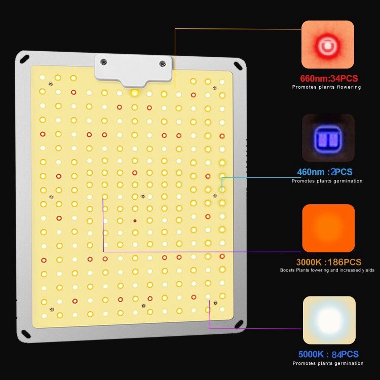 Quantumboard QBCC 850 IR UV