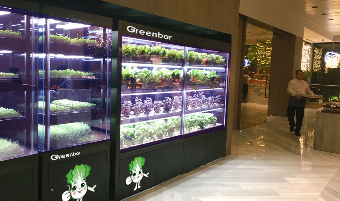 Модуль для выращивания зелени Greenbar- LUX3 - фотография № 15