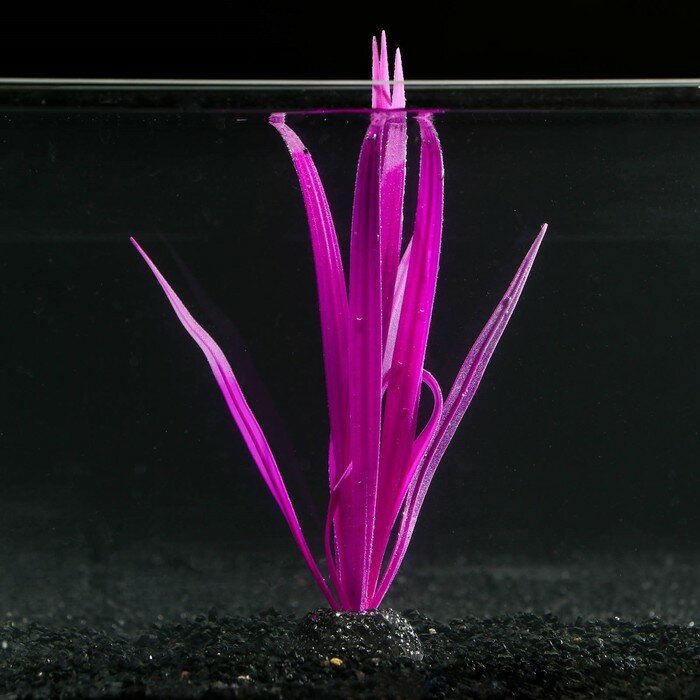 Растение силиконовое аквариумное, светящееся в темноте, 8 х 22 см, фиолетовое - фотография № 1