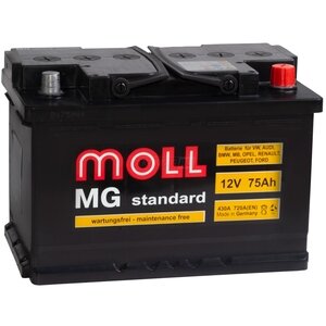  Moll MG Standard 75  720 . .