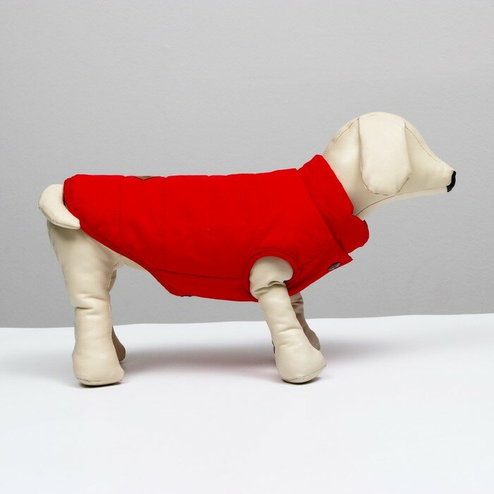 Куртка для собак, S (ДС 20 см, ОШ 23 см, ОГ 32 см), красная - фотография № 2