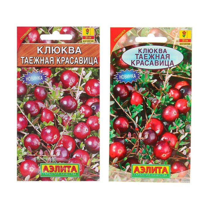 Семена Клюква крупноплодная 