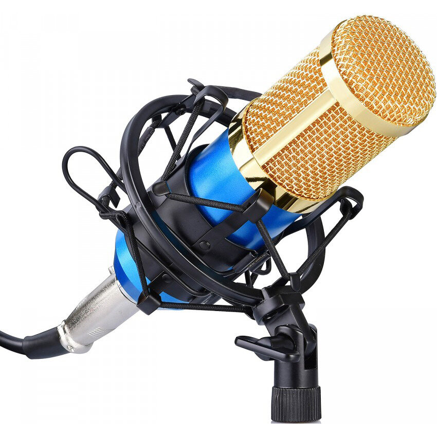 Микрофон студийный конденсаторный FZONE BM-800 BL