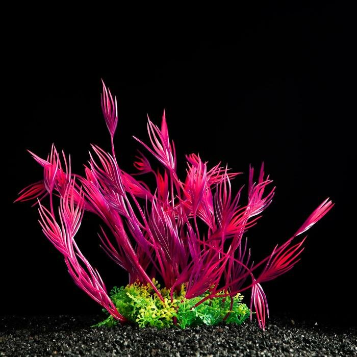 Пижон Аква Растение искусственное аквариумное, 22 см